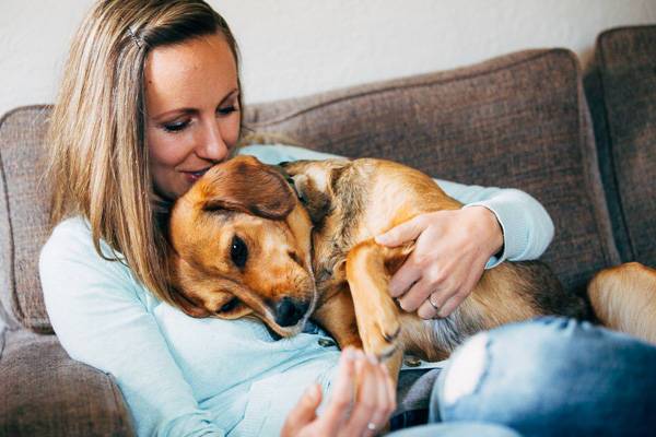 Sage for the blog | pinchofyum.com Sage for the blog | pinchofyum.com